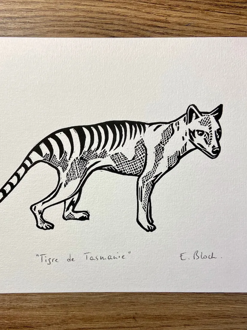« Tigre de Tasmanie »
